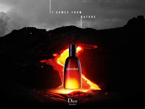 dior fahrenheit edp yorum|christian dior fahrenheit parfum.